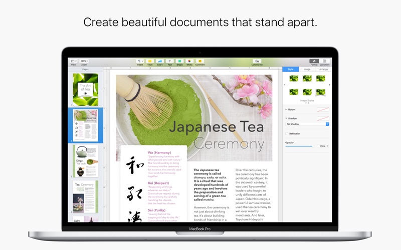 pages 09 download for mac free